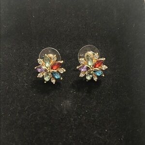 Napier Multicolor Glass/Crystal Stone Floral Design Earrings